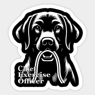 Chief Exercise Officer Sticker